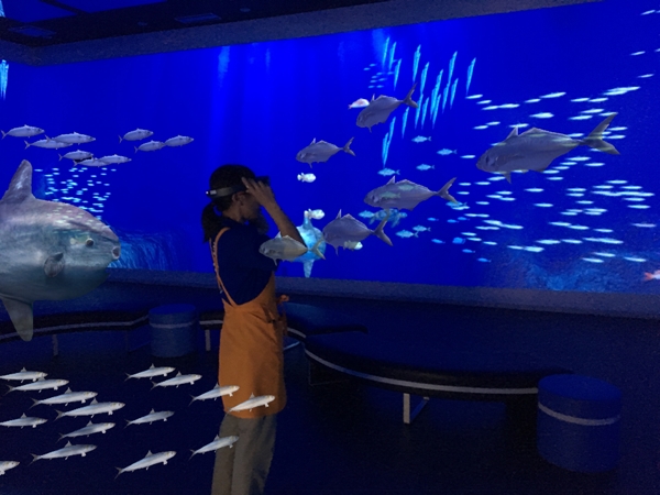 伊方きらら館のバーチャル水族館「きららアクアリウム」内にHoloLensを使った海中体験型アクアリウムコンテンツを開発中
