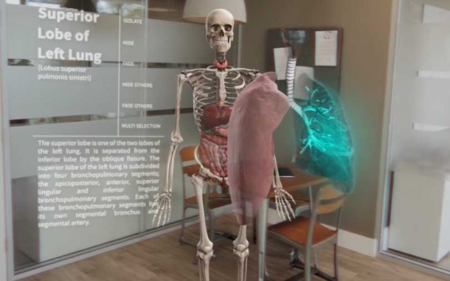 3DモデルとVR/ARが解剖学の世界に革命を起こす