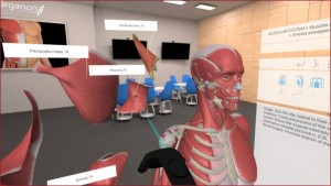 3D-Organon-VR-Anatomy