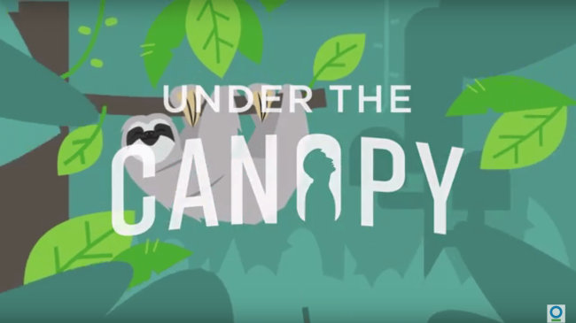 Under-the-Canopy