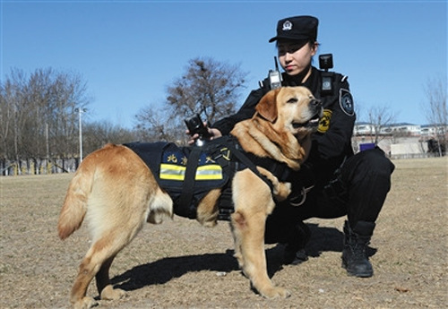 カメラを背負った警察犬と警察官