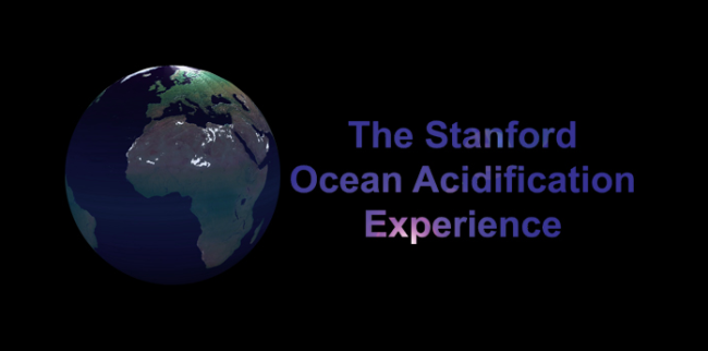 スタンフォード大学、海洋酸性化による危機を訴える「Ocean Acidification VR Experience」を制作