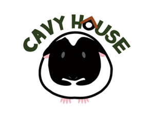 VR企業, cavyhouse,企業ロゴ