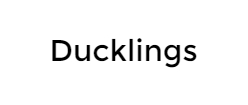 ducklings-4.jpg