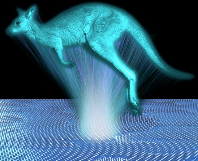 カンガルーのホログラム
