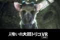 VR