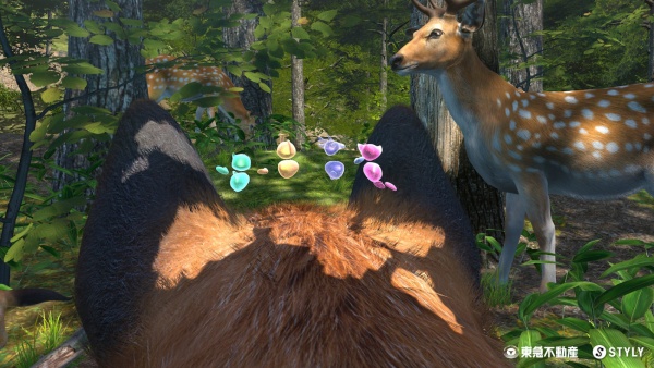 体験するだけで環境保全に貢献できる仕組み