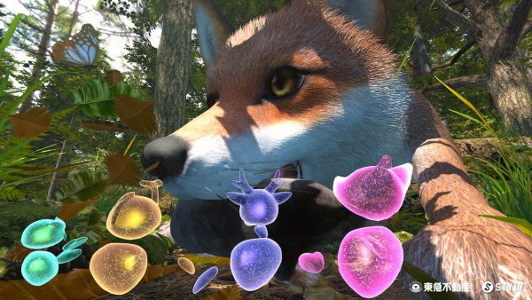 「体験 × 観光 × 環境保全」を実現する新しいリゾートモデル