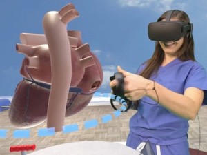 Stanford_VR_Heart