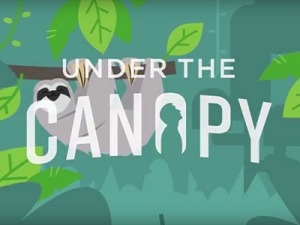 Under the Canopy