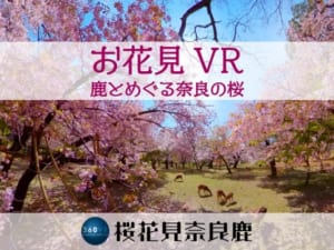 【VR】お花見VR 鹿とめぐる奈良の桜