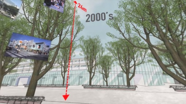 高さ 24m に成長したケヤキ