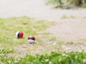 公園にモンスターボール