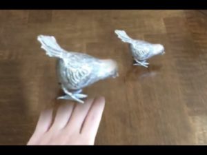 ARでオブジェクトを隠す